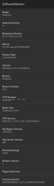 RMX2202_11_H.12 GDPR.jpg