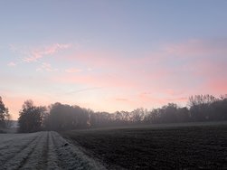 IMG_0420.jpeg
