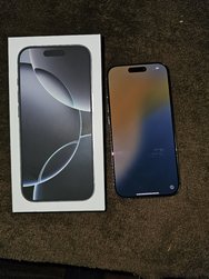 20241109_175312.jpg
