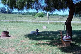 IMG_20241109_143900.jpg