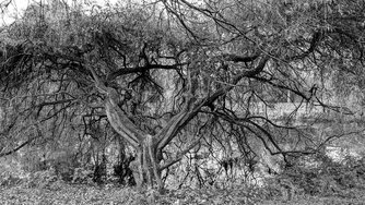 PXL_20241110_094539091~2.jpg
