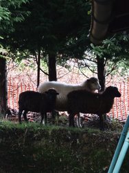 IMG_20241110_180833.jpg