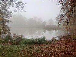 20241110_103605.JPG