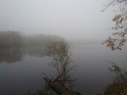 20241110_154317.JPG
