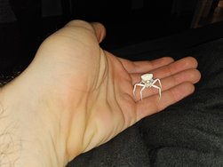 20241110_230817.jpg