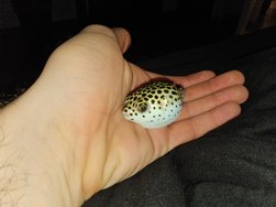 20241110_230921.jpg