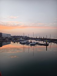 IMG_20241109_163411.jpg