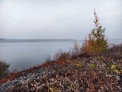 IMG_20241109_164535.jpg