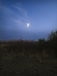 IMG_20241109_171342.jpg