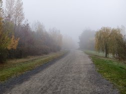 IMG_20241110_155904.jpg