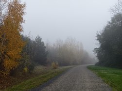 IMG_20241110_160110.jpg