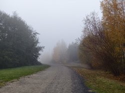IMG_20241110_160629.jpg