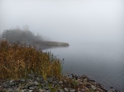 IMG_20241110_161746.jpg