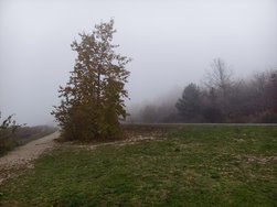 IMG_20241110_162000.jpg