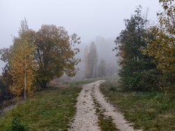 IMG_20241110_162258.jpg