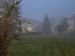 IMG_20241110_165702.jpg