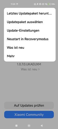 Screenshot_2024-11-11-11-24-20-684_com.android.updater.jpg