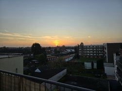 20241105_164406.jpg