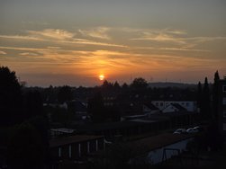 20241105_164409.jpg