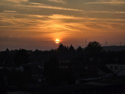 20241105_164415.jpg