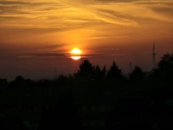 20241105_164421.jpg