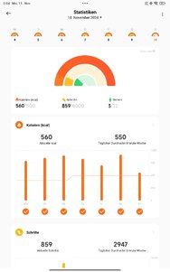 Screenshot_2024-11-11-00-04-17-446_com.xiaomi.wearable.jpg
