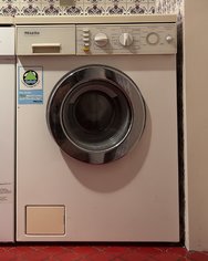 IMG_7704.jpeg