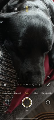 1000051709.jpg