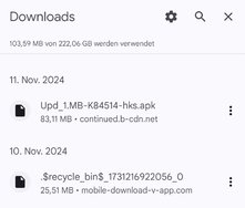 Screenshot_20241113_081250_Chrome.jpg