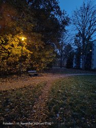 IMG20241113070219.jpg