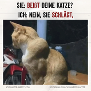 Quotes_Creator_com.ist_.quotescreator_1731239071790.png