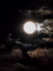 20241114_174924.jpg