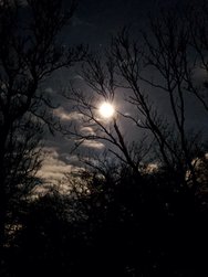 20241114_180255.jpg