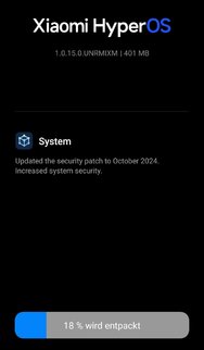 Screenshot_2024-11-15-16-44-52-370_com.android.updater-edit.jpg
