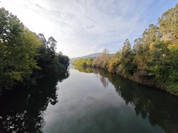 IMG_20241115_164326.jpg