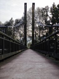 IMG_20241115_164617.jpg