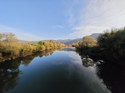 IMG_20241115_164335.jpg