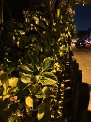 IMG_20241115_213010.jpg