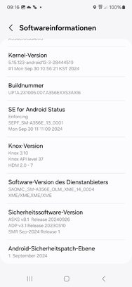Screenshot_20241116_091652_Settings.jpg