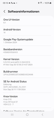 Screenshot_20241116_091643_Settings.jpg