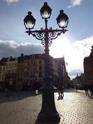 20241013_160157.JPG