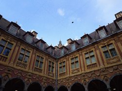 20241013_161256.JPG