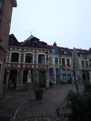 20241015_081614.JPG