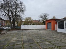 20241116_131031.jpg