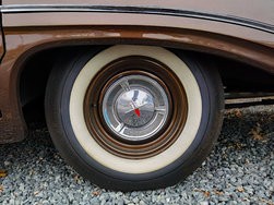 IMG_20241116_075758.jpg