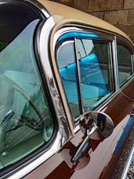 IMG_20241116_075817.jpg