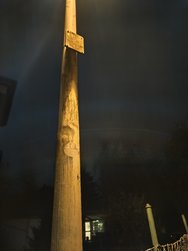IMG_20241116_205533.jpg