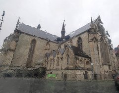IMG_20241117_083705.jpg