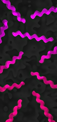221223 blubs waves v8.png