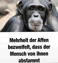Mehrheit.jpg